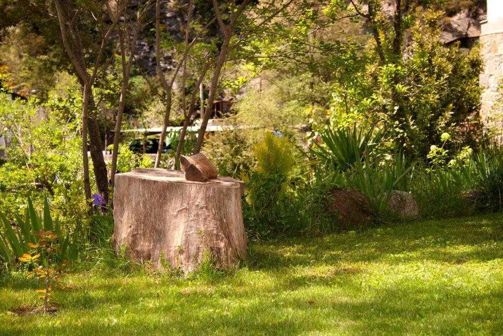 Hotel Badain Lafortunada Exterior photo